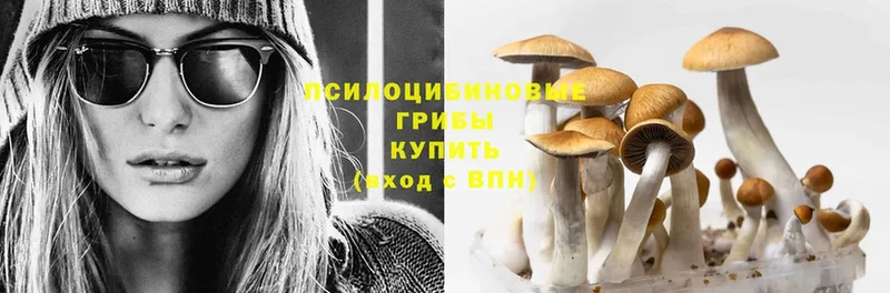 Псилоцибиновые грибы Psilocybine cubensis  hydra как зайти  Луховицы 