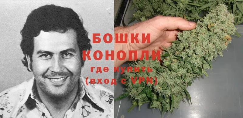 Каннабис Ganja  Луховицы 